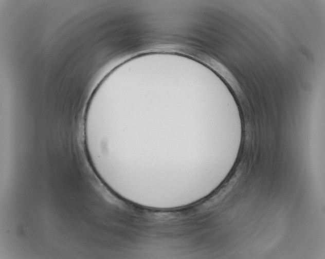 X0000113171436200910021513
