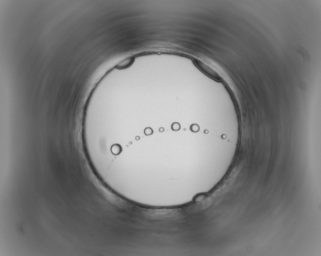 X0000113171437200910021513