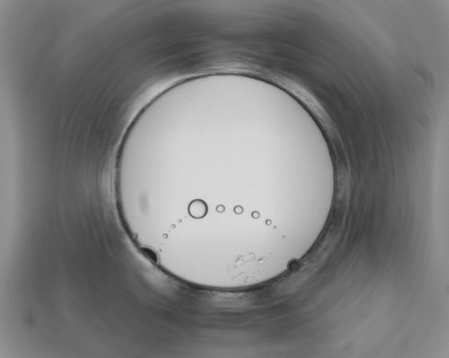 X0000113171439200910021513