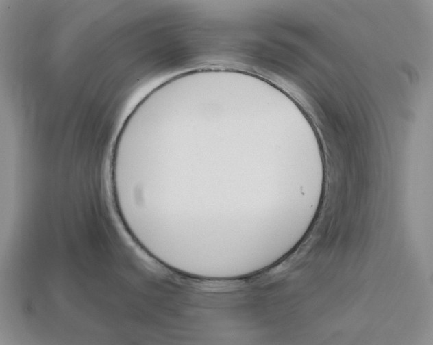 X0000113171440200910021513