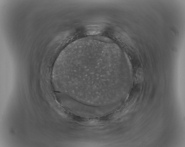 X0000113171441200910021512