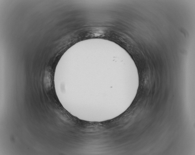 X0000113171442200910021512