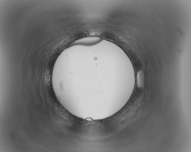 X0000113171443200910021512