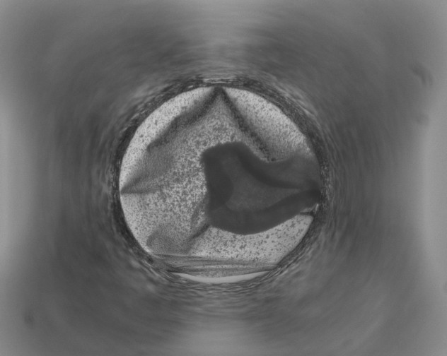 X0000113171445200910021512