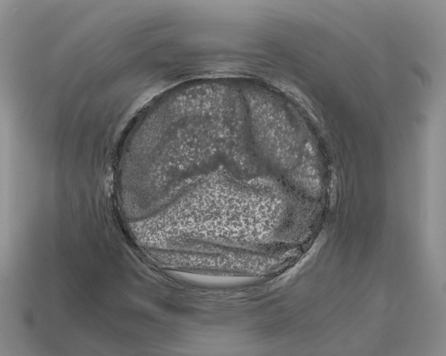 X0000113171449200910021512
