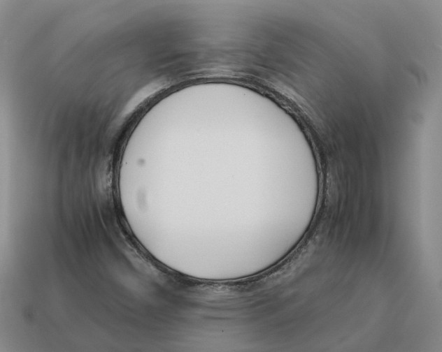 X0000113171450200910021512
