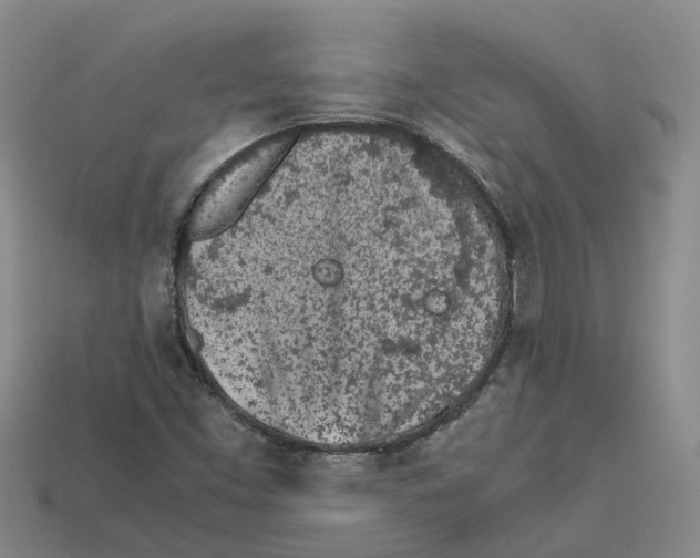 X0000113171453200910021512