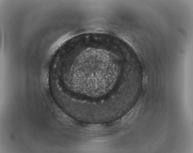 X0000113171455200910021512