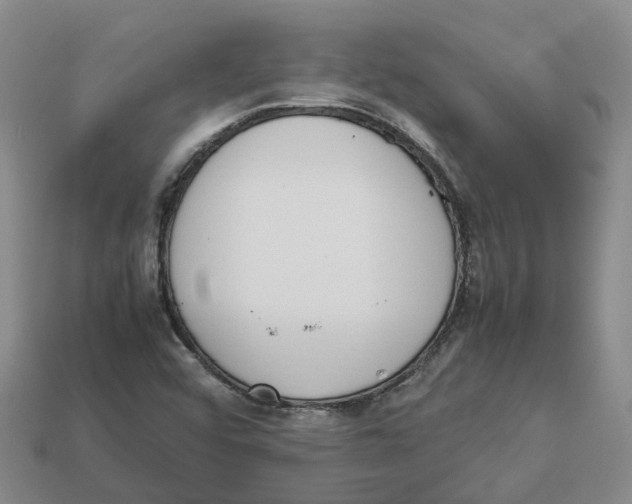 X0000113171456200910021512