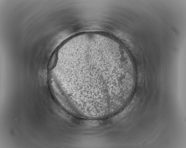 X0000113171457200910021512