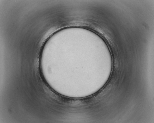 X0000113171459200910021512