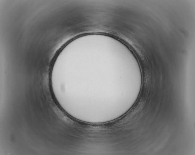 X0000113171460200910021512