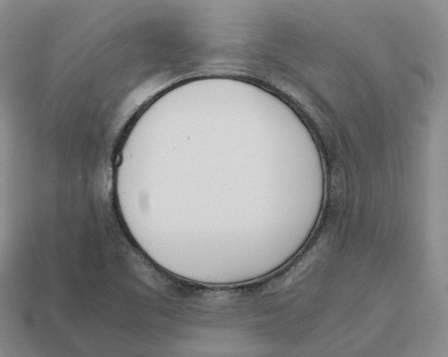 X0000113171461200910021512