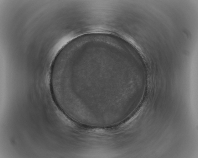 X0000113171463200910021512