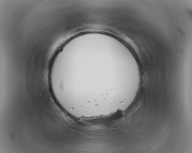 X0000113171464200910021512