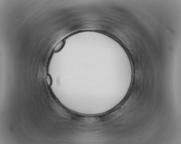 X0000113171465200910021512
