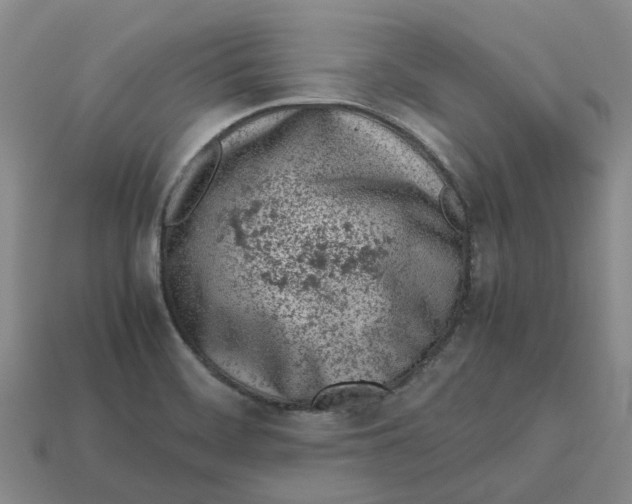 X0000113171468200910021512
