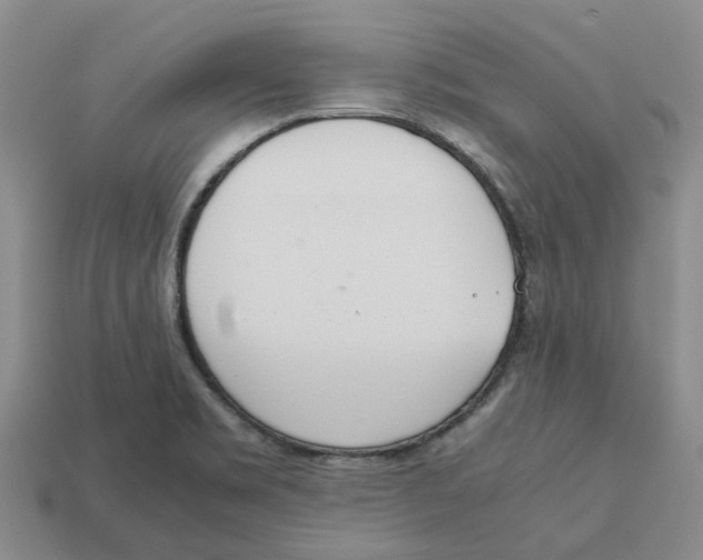 X0000113171469200910021512