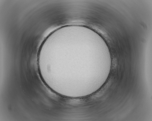 X0000113171470200910021512