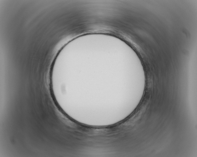 X0000113171471200910021512