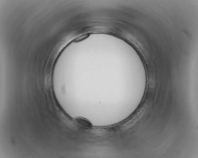 X0000113171473200910021511
