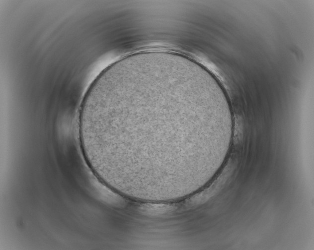 X0000113171474200910021511