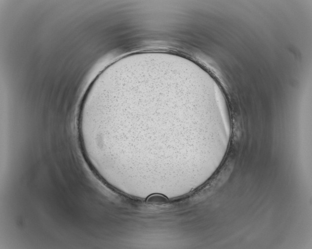 X0000113171475200910021511