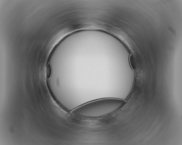 X0000113171476200910021511