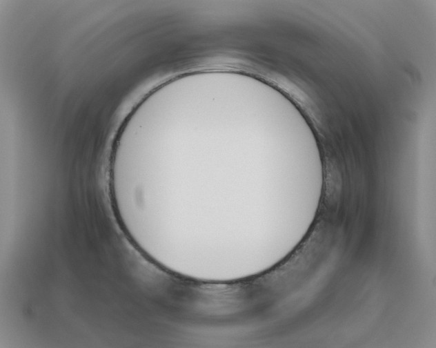 X0000113171478200910021511