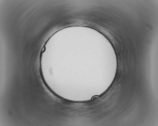 X0000113171479200910021511