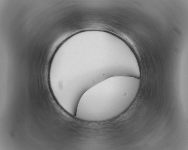 X0000113171480200910021511