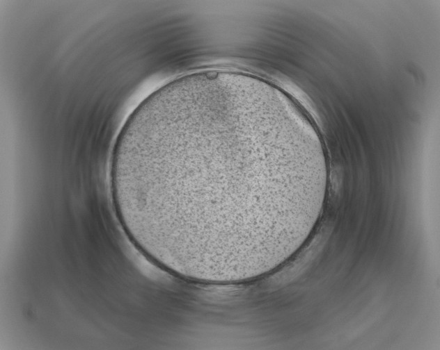 X0000113171482200910021511