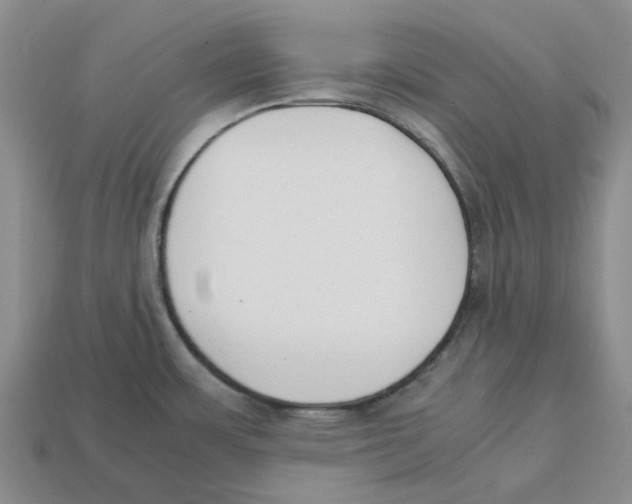 X0000113171483200910021511