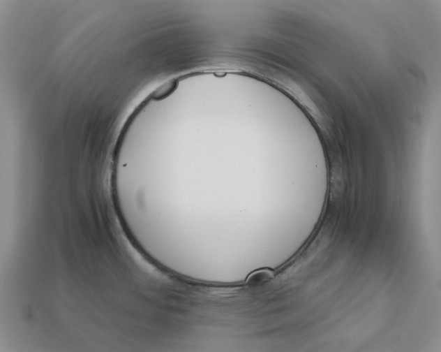 X0000113171484200910021511