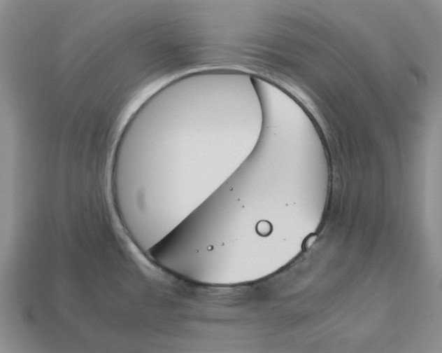 X0000113171485200910021511