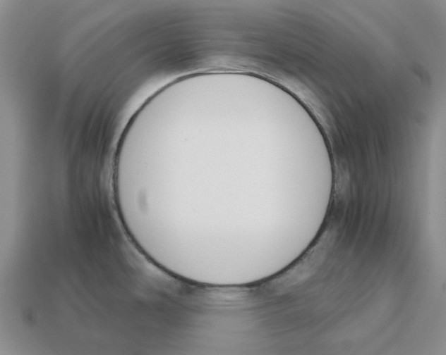 X0000113171486200910021511