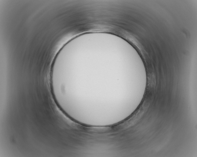 X0000113171487200910021511