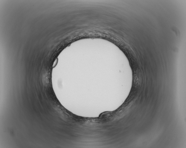 X0000113171490200910021511