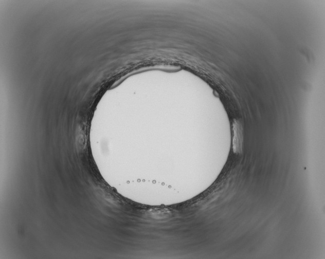 X0000113171491200910021511