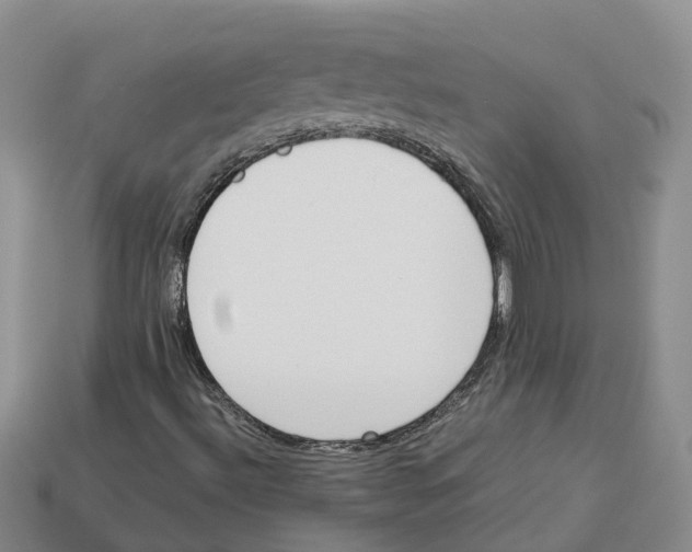 X0000113171492200910021511