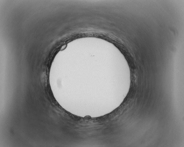 X0000113171493200910021511