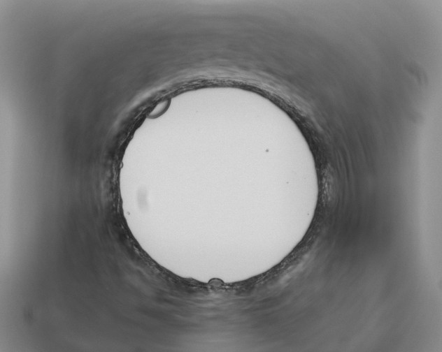 X0000113171494200910021511