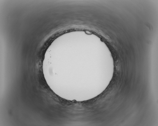 X0000113171495200910021511