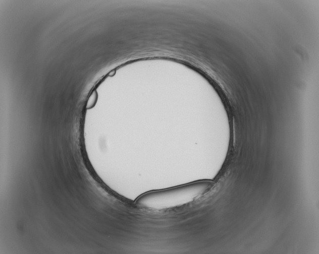 X0000113171500200910021511