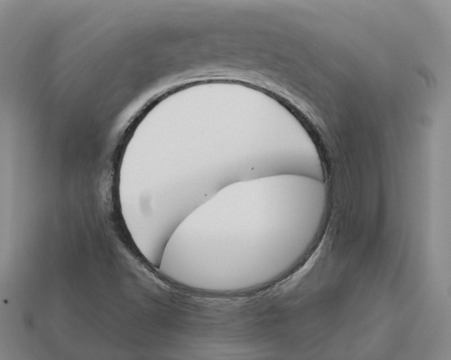 X0000113171502200910021511