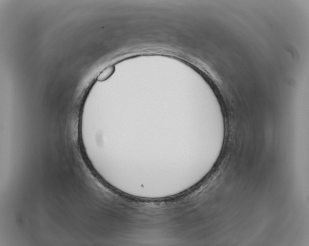 X0000113171504200910021511