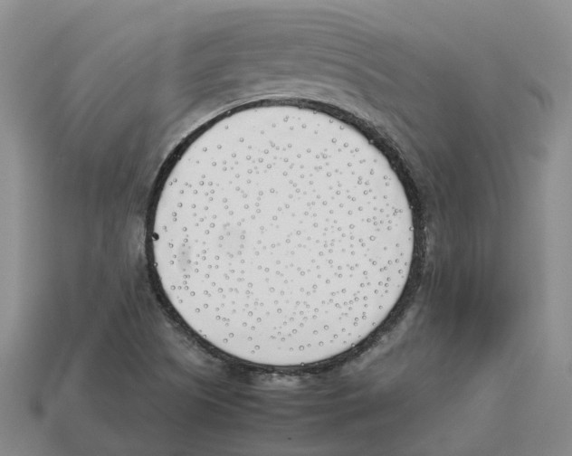 X0000113171505200910021511