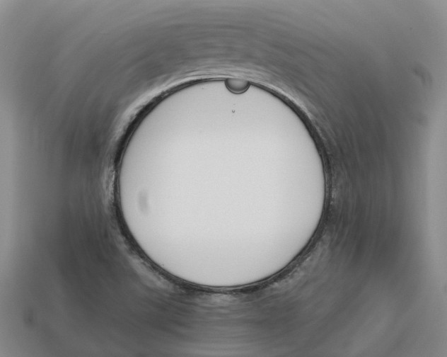 X0000113171507200910021511
