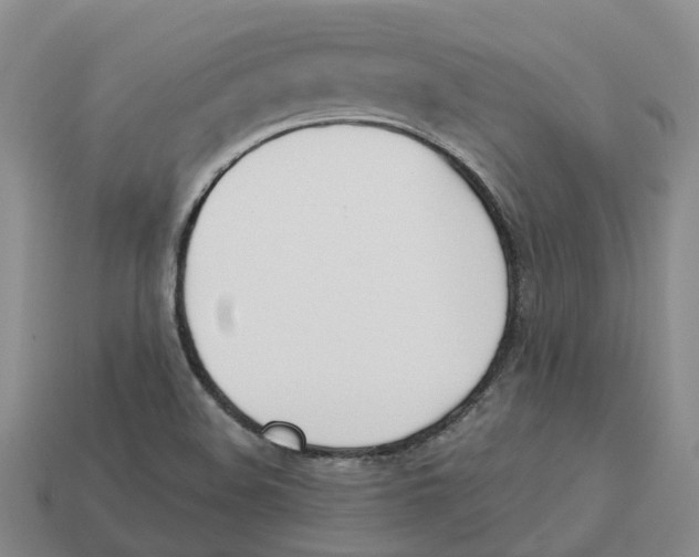 X0000113171508200910021511