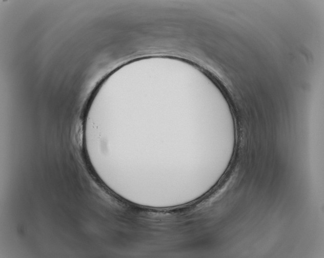 X0000113171509200910021511